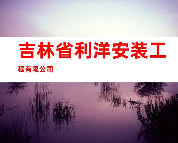 吉林省利洋安装工程有限公司